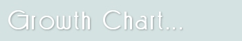 Top Page Header